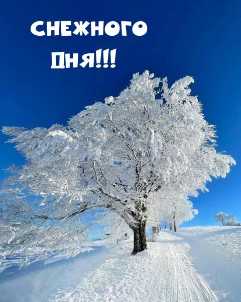 Снежный день картинки