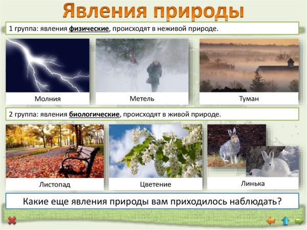 Сезонные явления живой и неживой природы