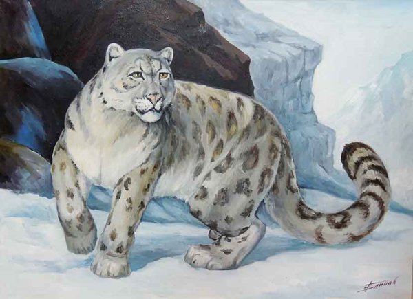 Нарисовать снежного Барса