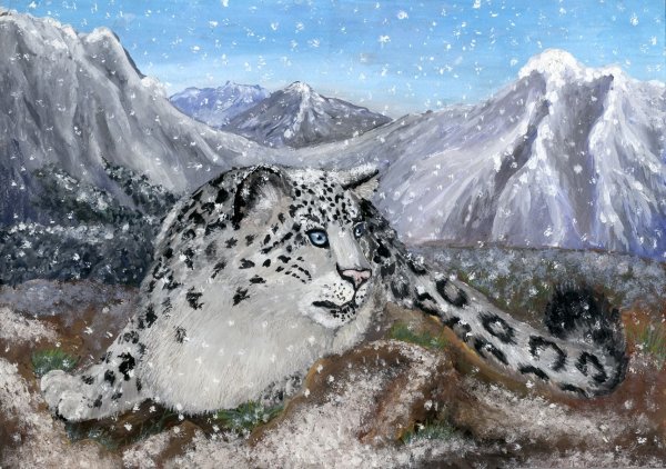 Снежный Барс Шота Руставели