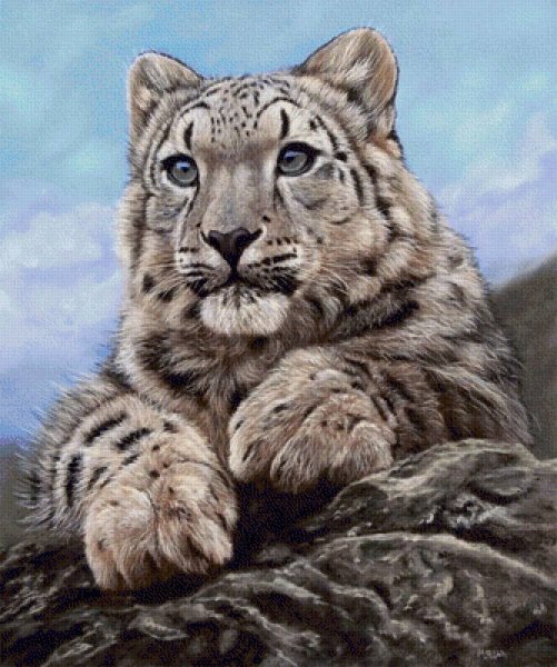 Снежный Барс Данчурова