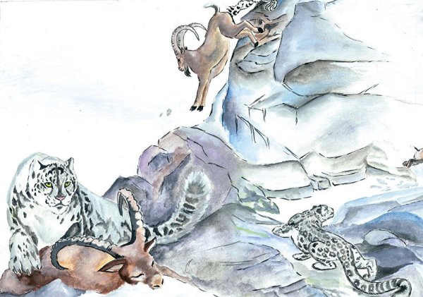 Снежный Барс рисовать