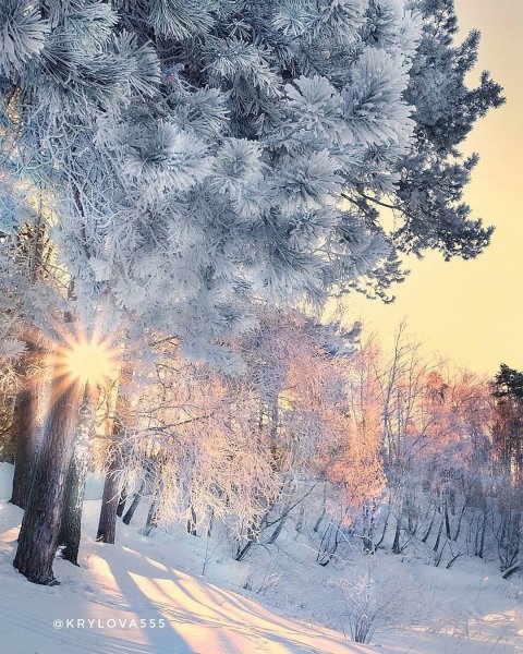 Морозное утро