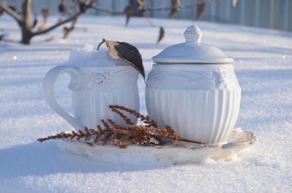 С последними зимними деньками