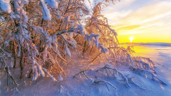 Зимний Солнечный пейзаж