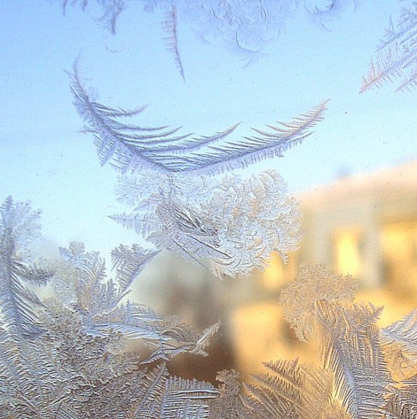Морозное утро в окне