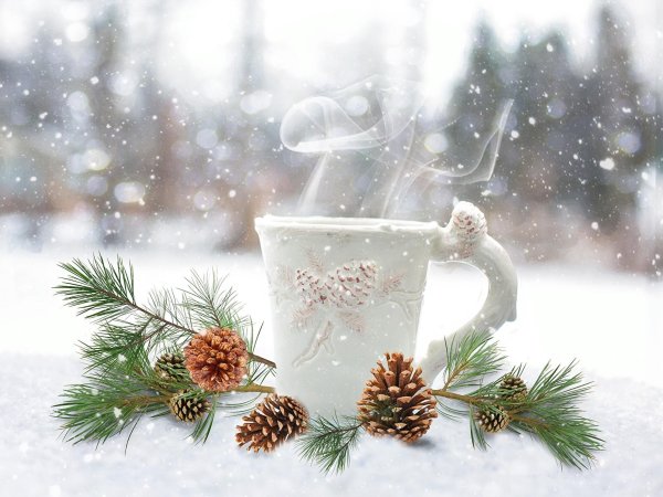 Снежное утро