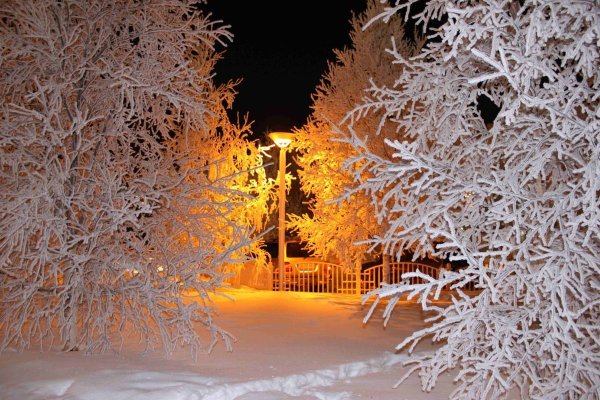 Красивый зимний вечер