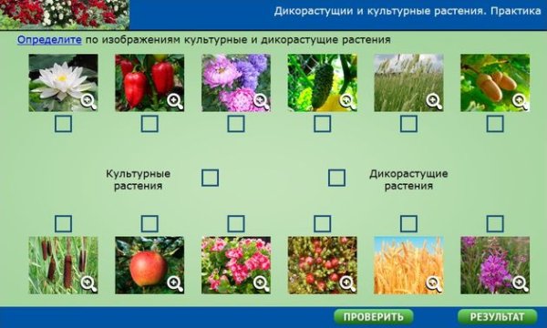 Дикие и культурные растения