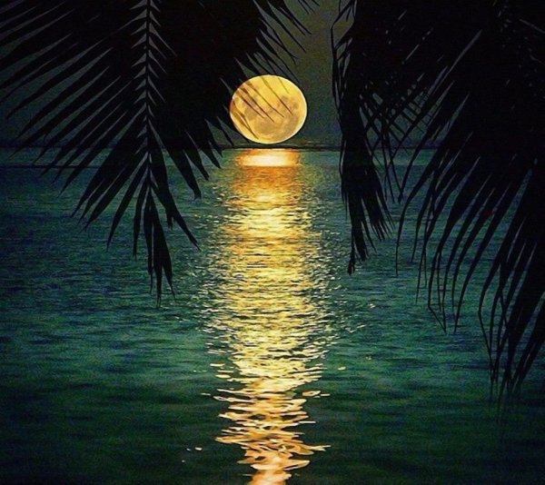 Лунная дорожка