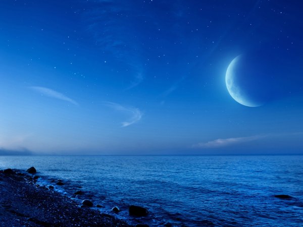Море и звезды