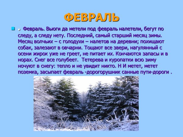 Зимний месяц февраль