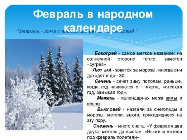 Зимний месяц февраль