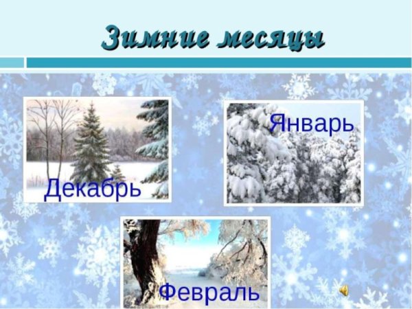 Зимние месяцы