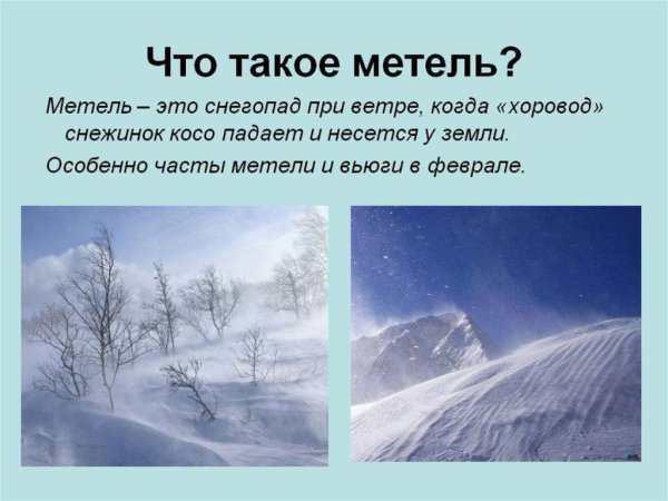 Метель это определение