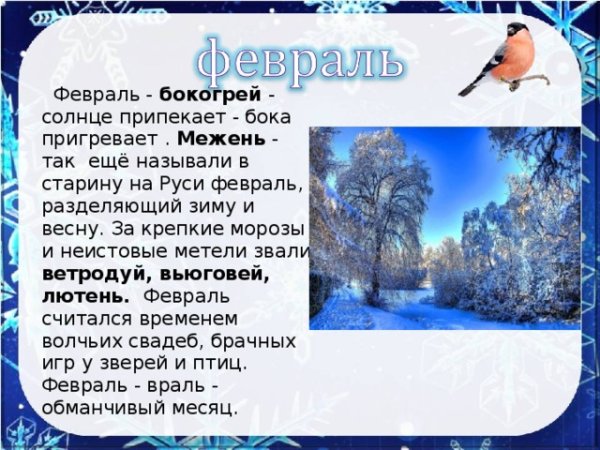 Месяц февраль