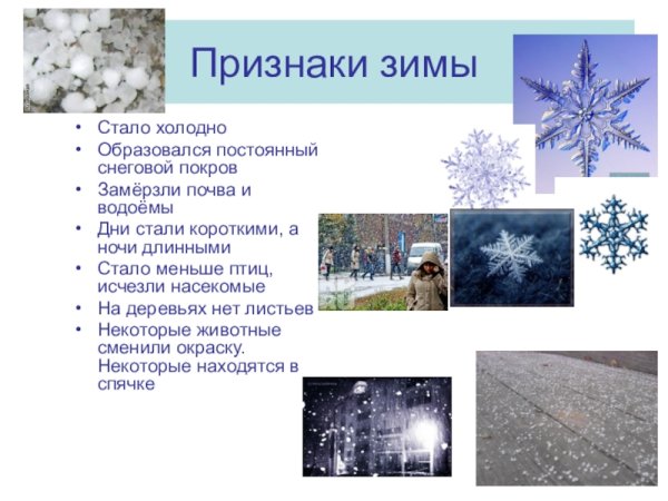 Признаки зимы