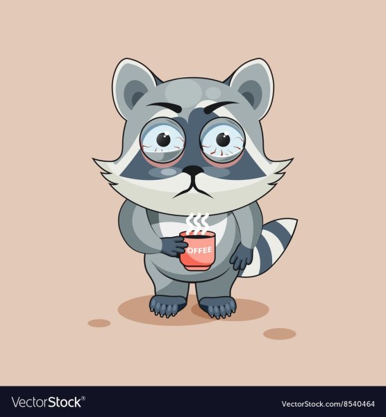 Енот с кофе арт