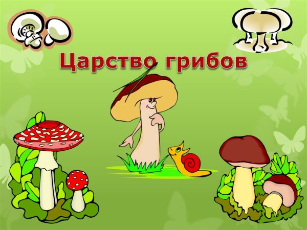 Царство грибов титульн лист
