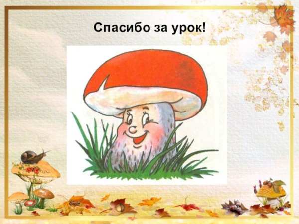 Второй класс грибы