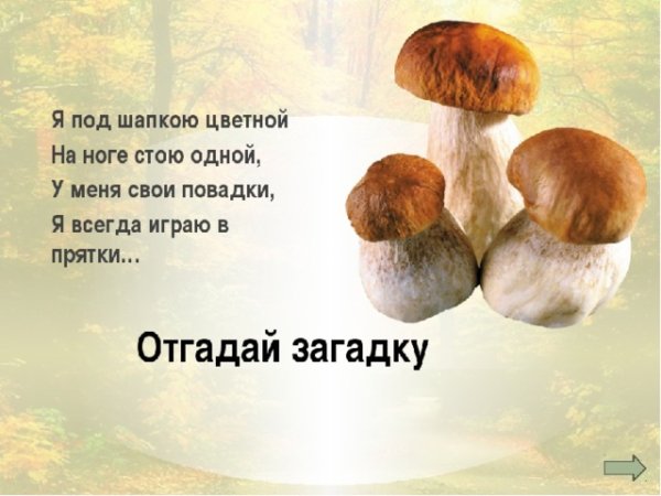 Презентация грибов