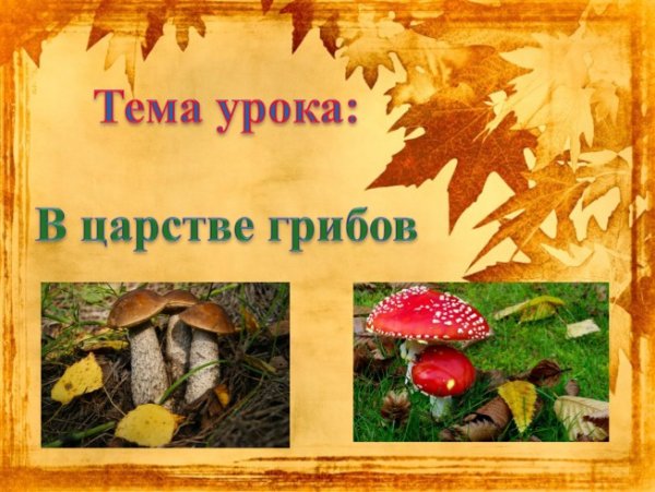 Окружающий мир тема грибы