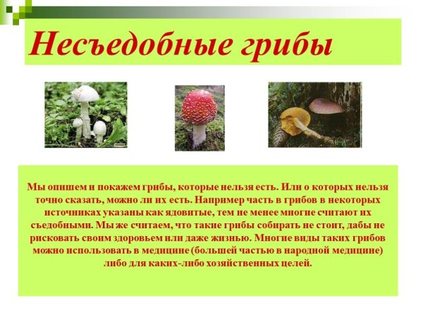 Проект седобные и не седобное грибы