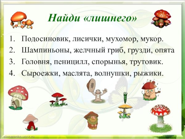 Задания на тему грибы