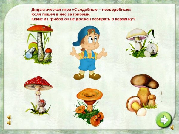 Грибы съедобные и несъедобные задания для детей