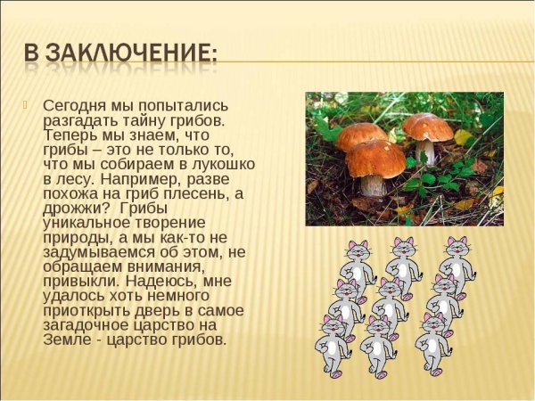 Проект царство грибов