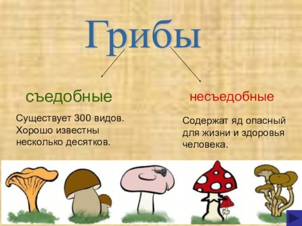 Съедобные и несъедобные грибы 1 класс окружающий мир