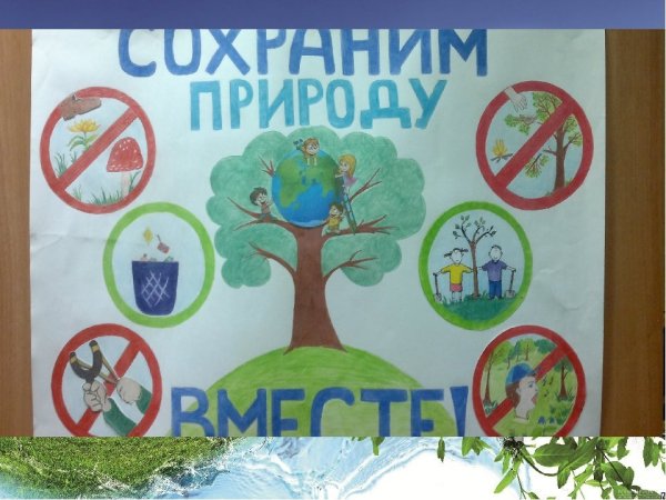 Плакат о сохранении природы