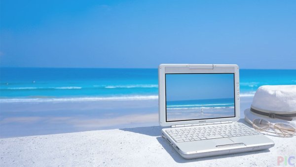 С ноутбуком на море