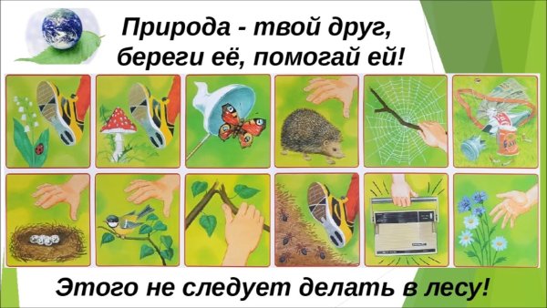 Береги природу для дошкольников