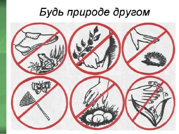 Экологические знаки