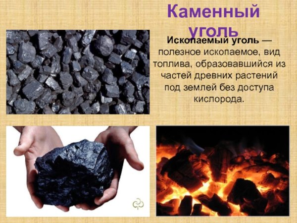 Полезные ископаемые каменный уголь