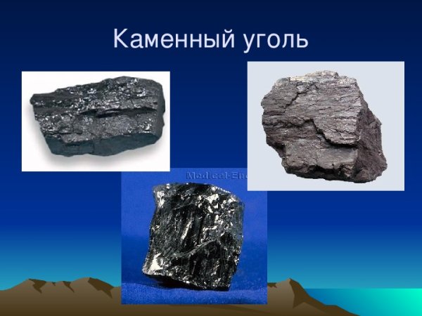 Каменный уголь порода