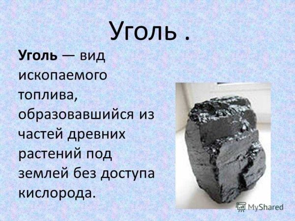 Полезные ископаемые уголь