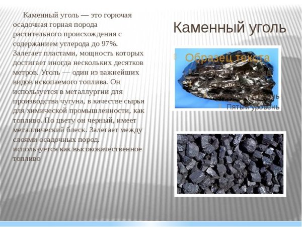 Уголь происхождение горной породы