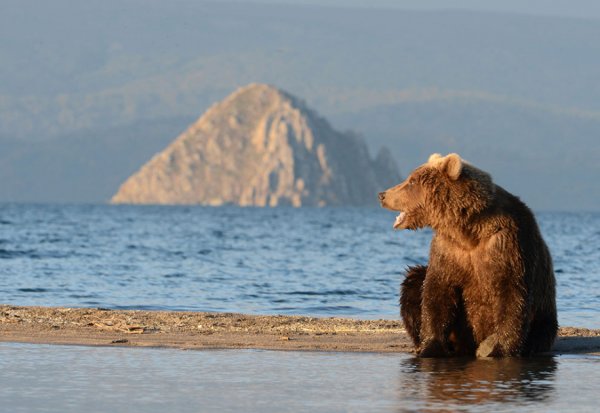 Сердце Алаида на Камчатке
