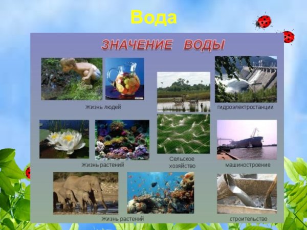 Значение воды