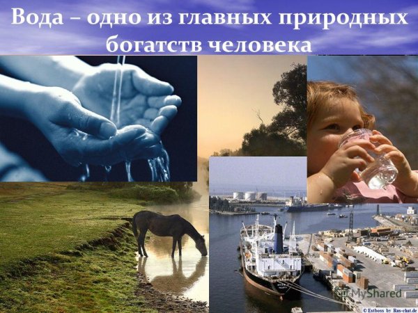 Человек и природа вода