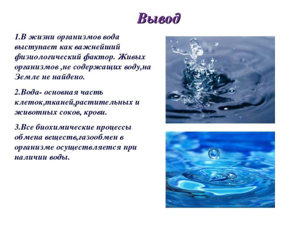 Презентация на тему вода