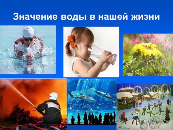 Вода в нашей жизни для детей