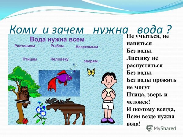 Зачем нужна вода