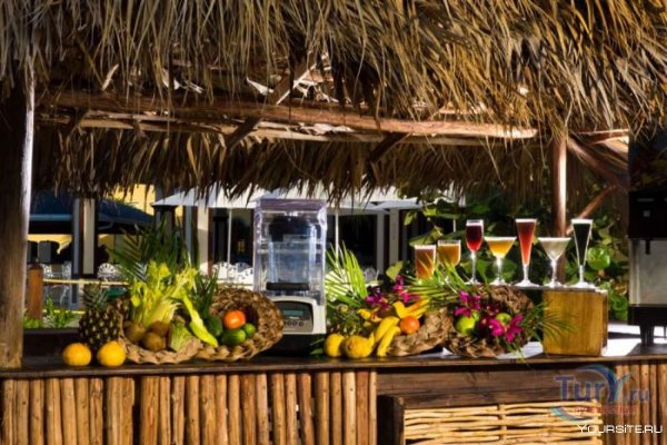 Тропический бар на пляже