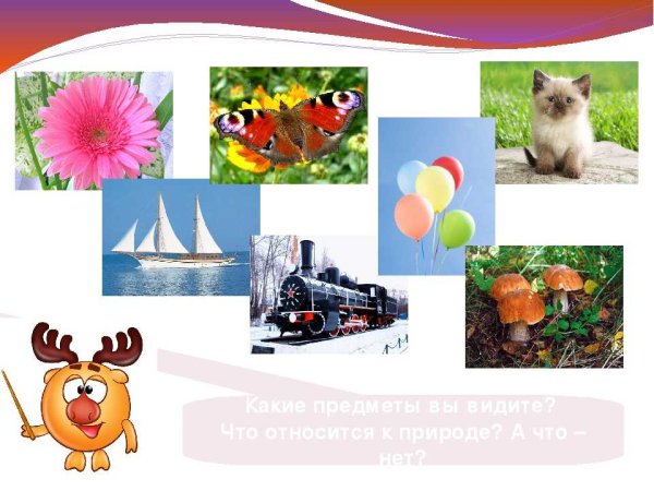 Природные и рукотворные предметы