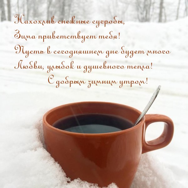 С добрым снежным утром