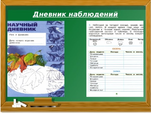Научный дневник наблюдений