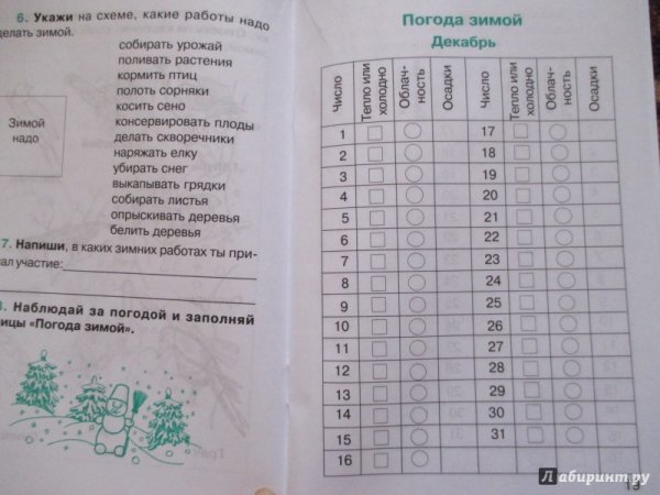 Природоведение дневник наблюдений